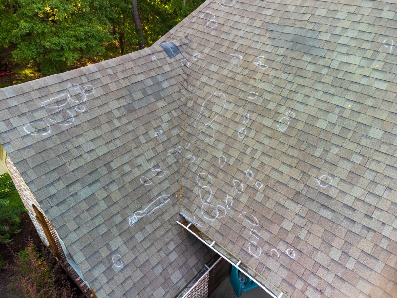 Asphalt Roof Inspection in Bridgeton, NJ