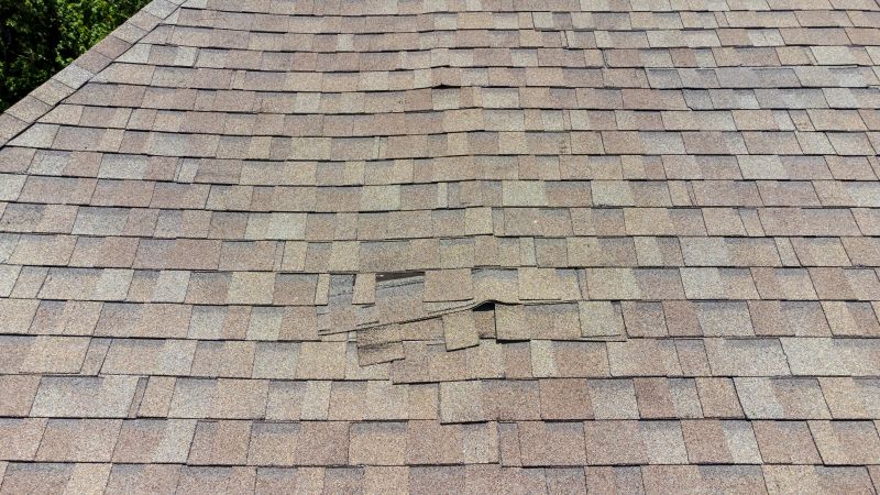 Asphalt Roof Inspection in Cumberland County, NJ