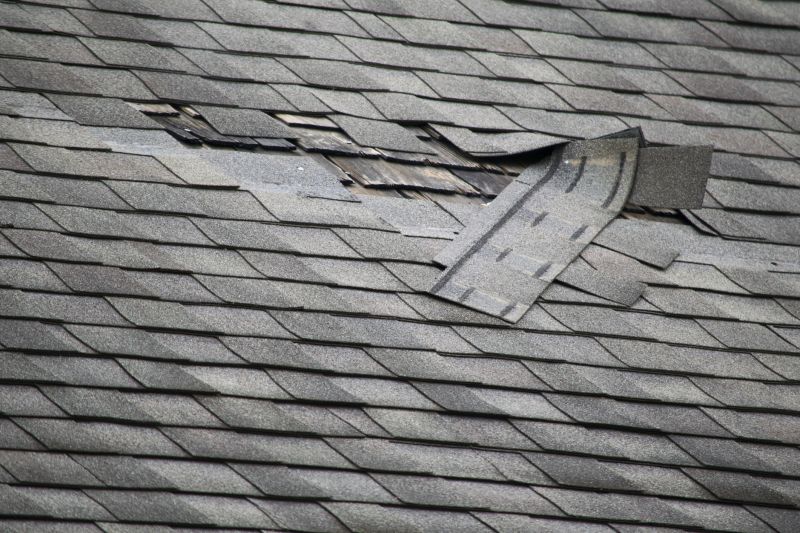 Asphalt Roof Leak Repair in Elkton, MD