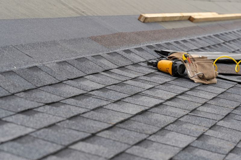 Asphalt Roof Repair in Clayton, NJ