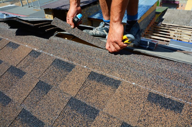 Asphalt Roof Repair in Odessa, DE