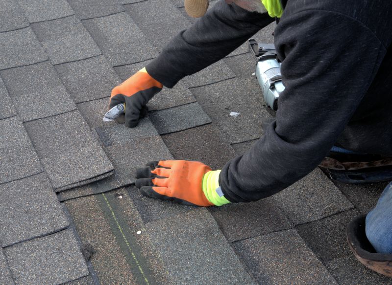 Asphalt Roof Repair in Woodstown, NJ