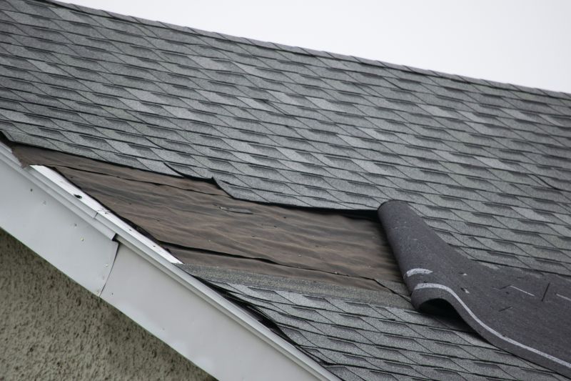 Asphalt Shingles Repair in Delaware City, DE