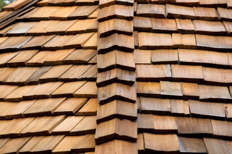 Cedar Roof Construction in Salem County, NJ
