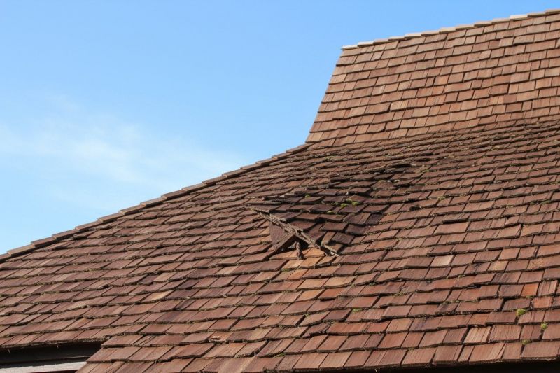 Cedar Shingles Replacement in Clayton, NJ