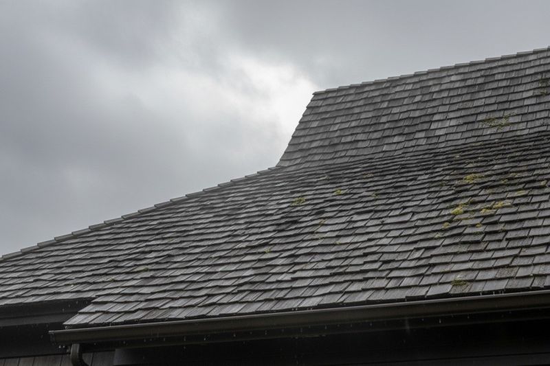 Cedar Shingles Replacement in Odessa, DE