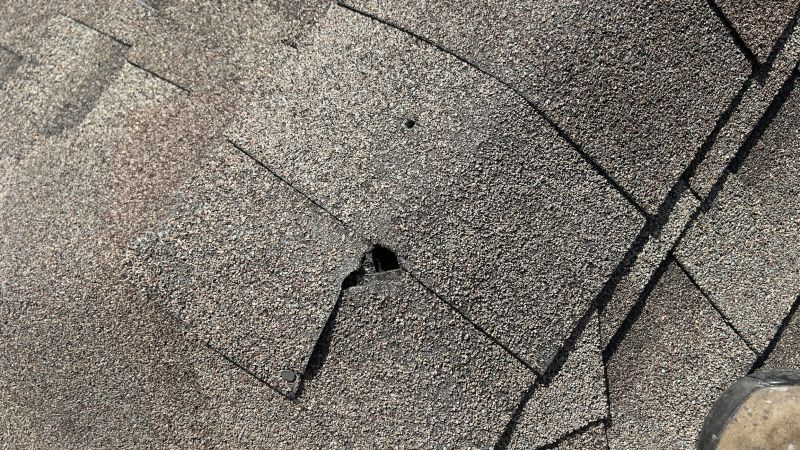 Damaged Roof Repair in Gloucester County, NJ