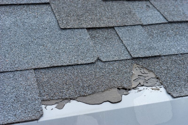 Damaged Roof Repair in Salem County, NJ