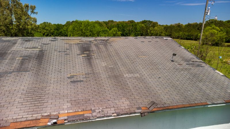 Hail Damage Roof Repair in Clifton Heights, PA