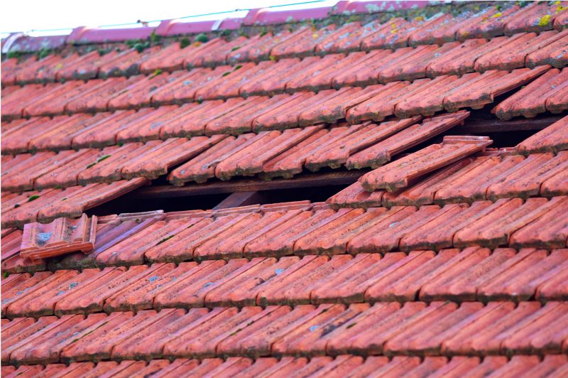 Roof Damage Inspection in Newark, DE