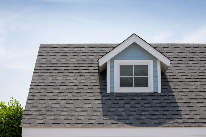 Roof Patching Service in Salem County, NJ