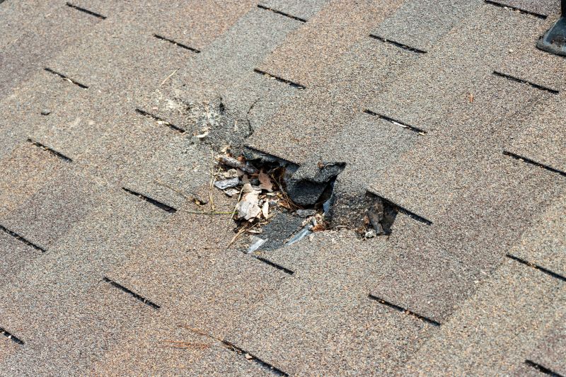 Roof Shingles Replacement in Salem, NJ