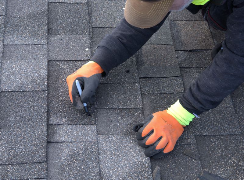 Shingles Repair in Elkton, MD