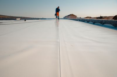 Single Ply Roof Repair in Saint Georges, DE