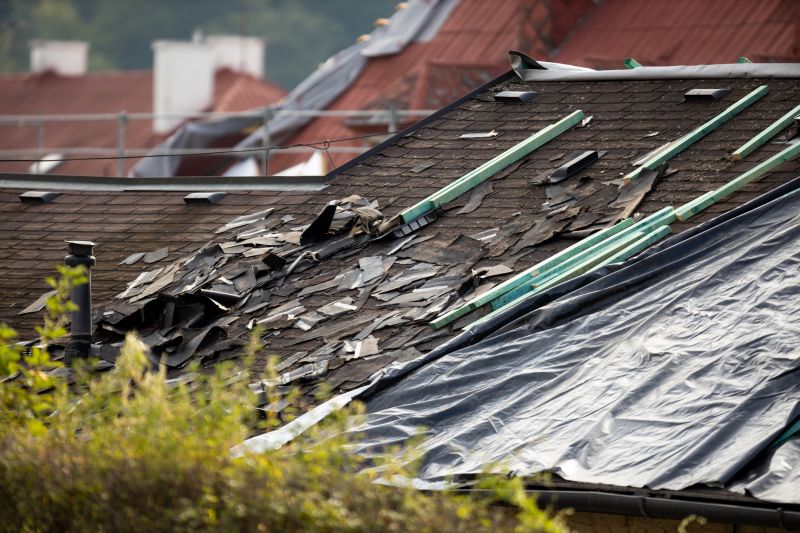 Storm Damage Roof Tarping in Salem County, NJ