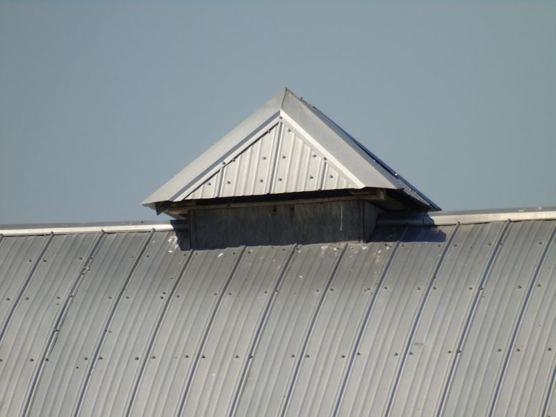 Tin Roof Installation in Odessa, DE