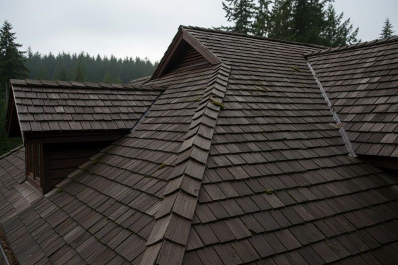 Wood Shake Roof Replacement in Sewell, NJ